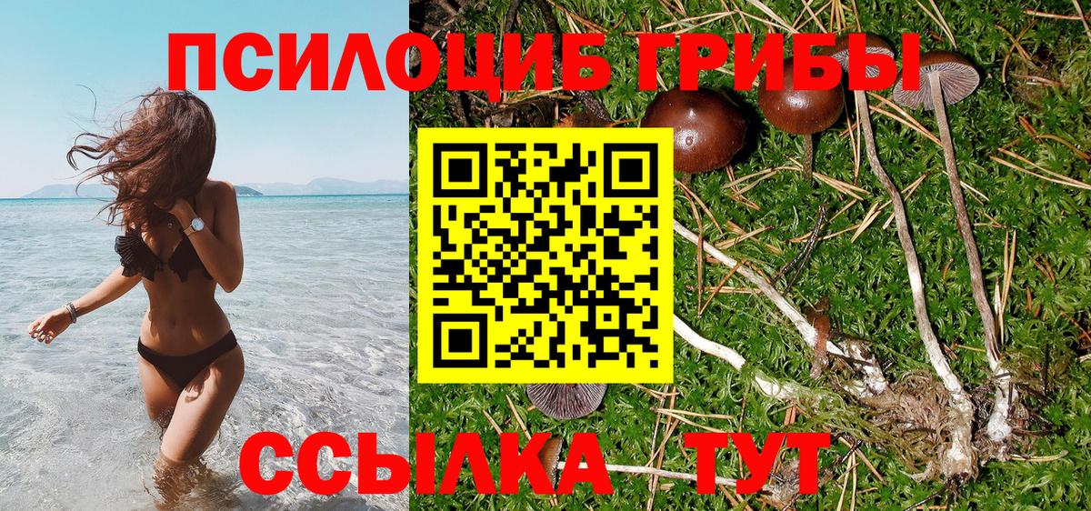 Псилоцибиновые грибы мухоморы  Вход с VPN  Галлюциногенные грибы Psilocybe  Кизляр 